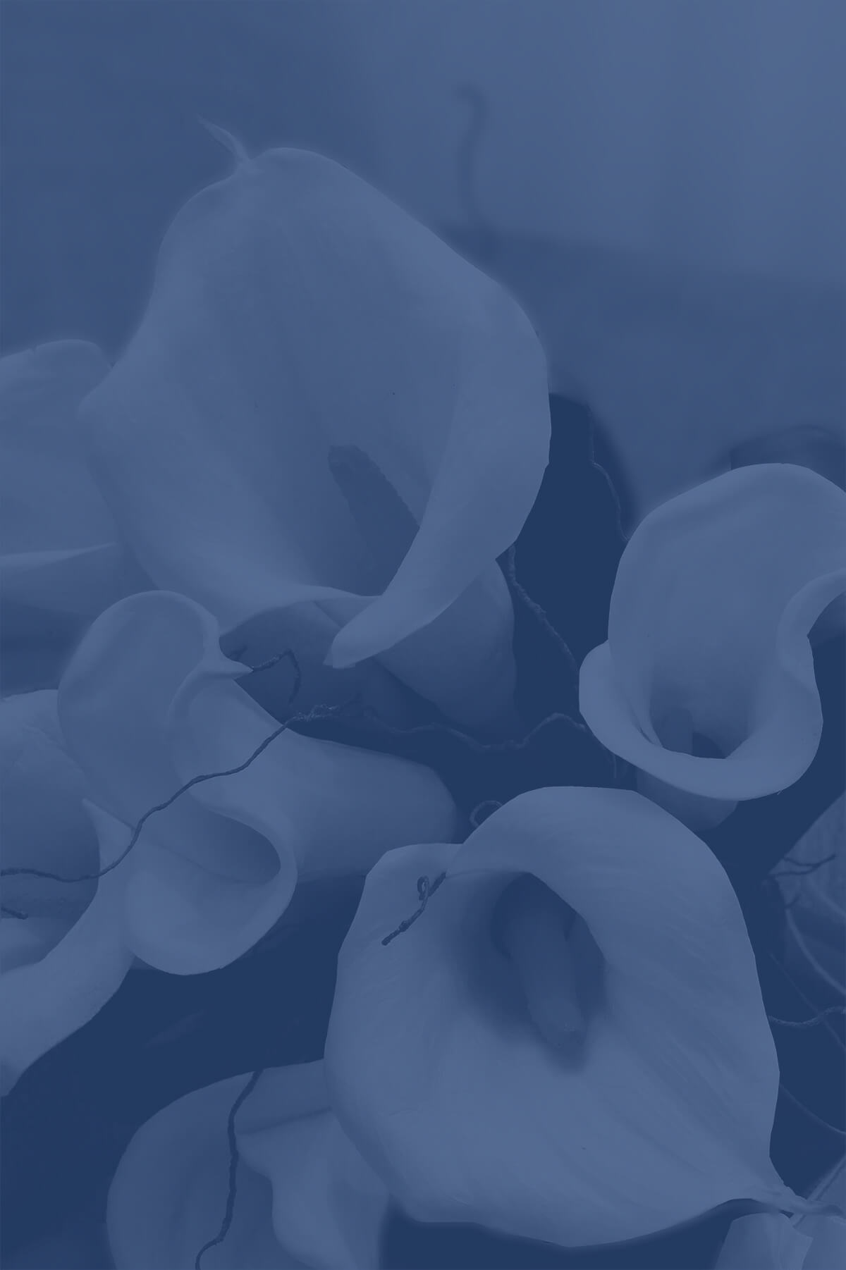 Funeral Directors Morisset Newcastle Central Coast